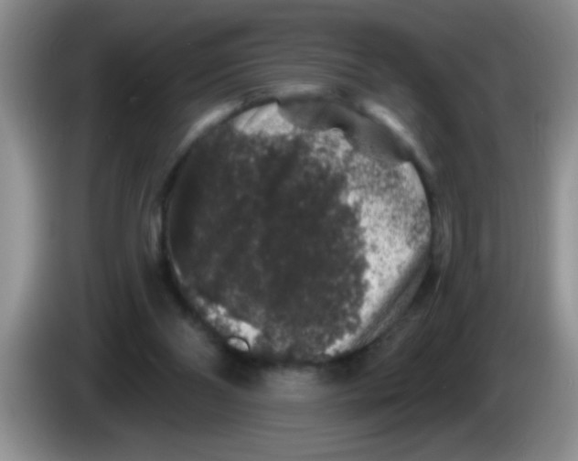 X0000083570110200703091646