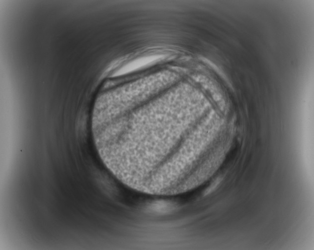 X0000083570111200703091646