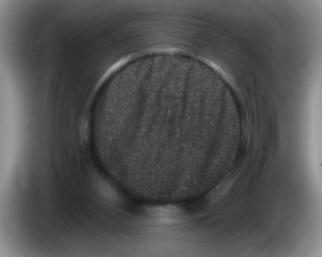 X0000083570112200703091646