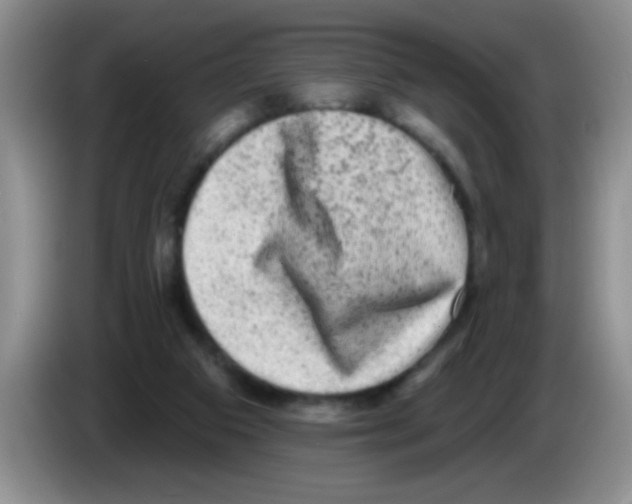 X0000083570113200703091646