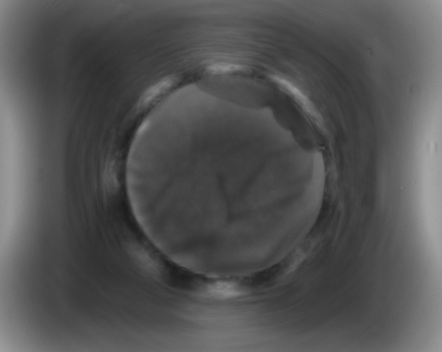 X0000083570114200703091646