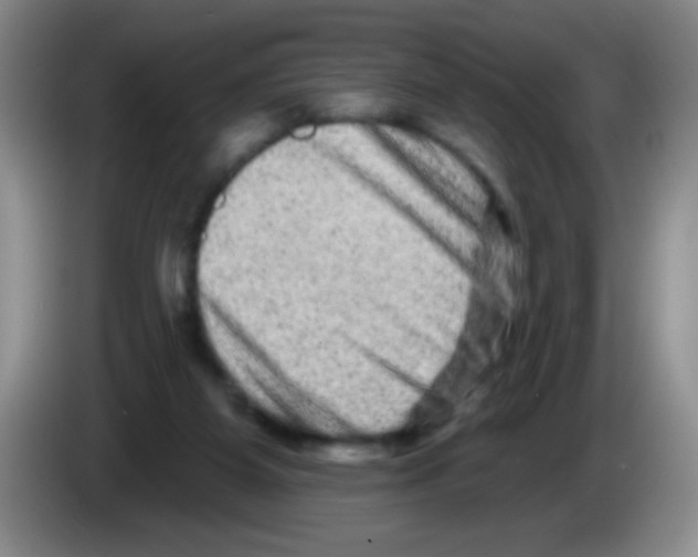 X0000083570115200703091646