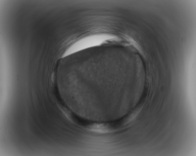 X0000083570117200703091646