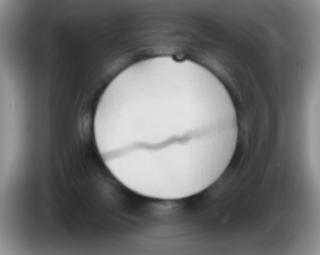 X0000083570118200703091646
