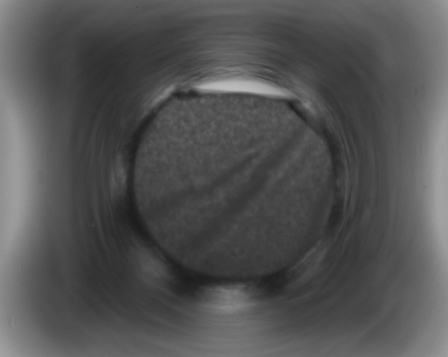 X0000083570120200703091646