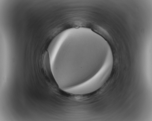 X0000083570121200703091646