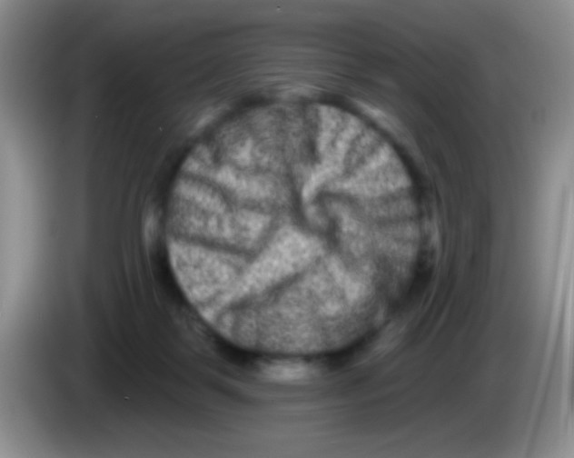 X0000083570123200703091646