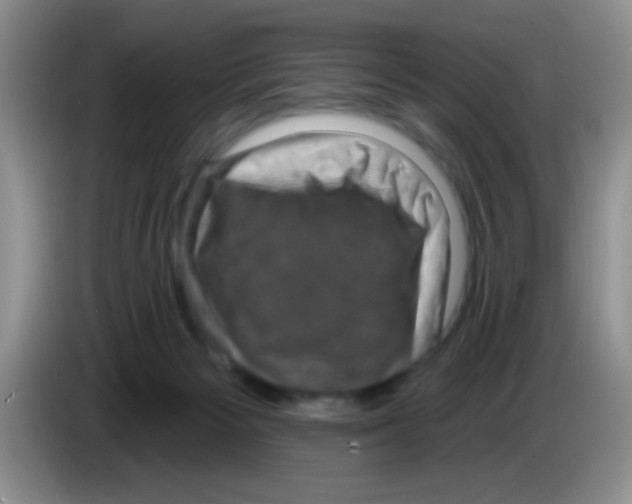X0000083570125200703091645