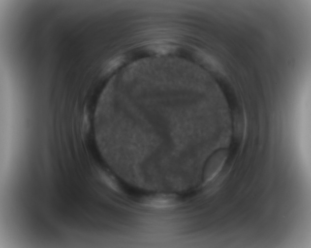 X0000083570128200703091645
