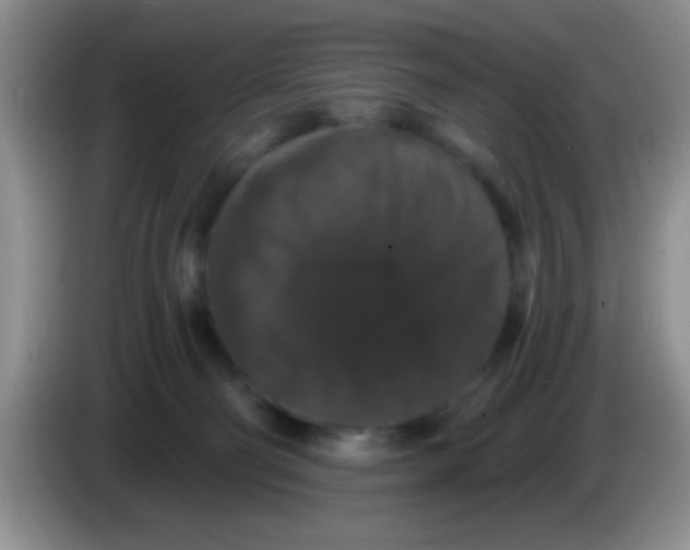 X0000083570130200703091645