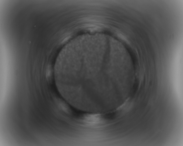 X0000083570132200703091645