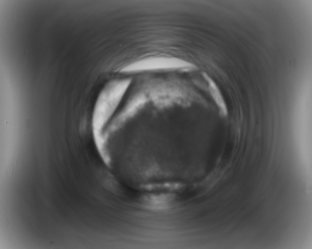 X0000083570134200703091645