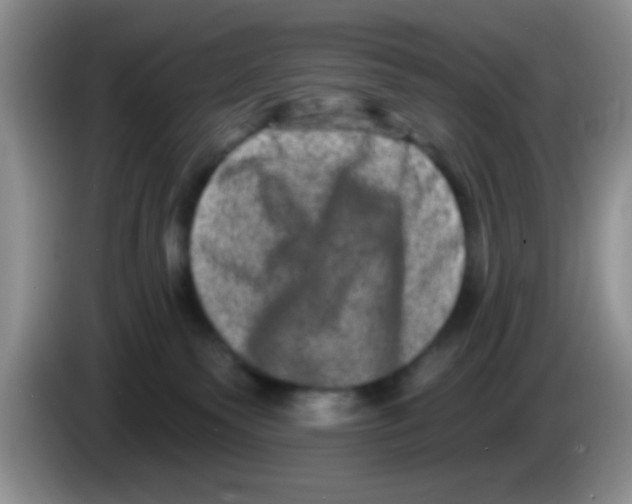 X0000083570135200703091645