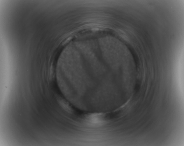 X0000083570136200703091645