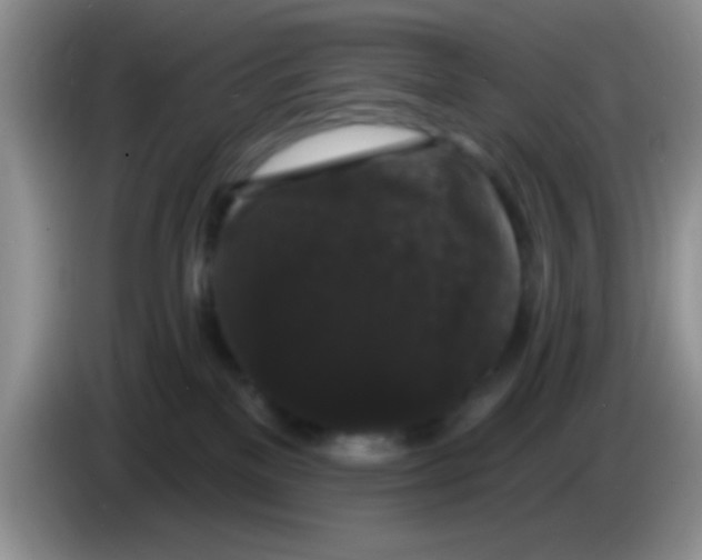 X0000083570137200703091645