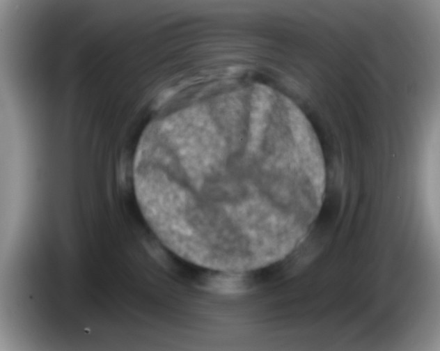 X0000083570138200703091645