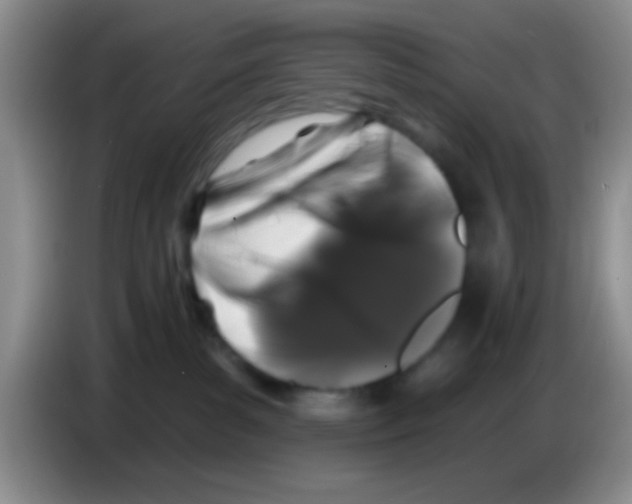 X0000083570139200703091645