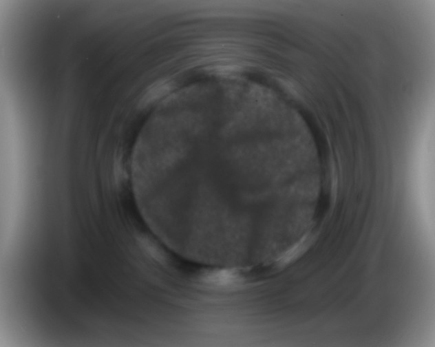 X0000083570140200703091645