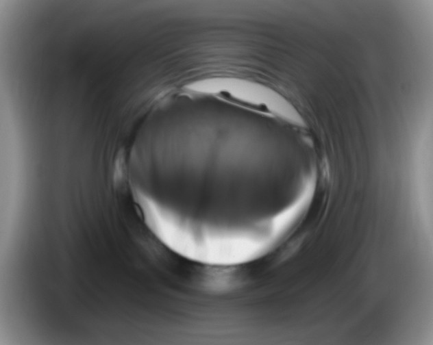 X0000083570143200703091645