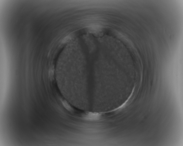 X0000083570144200703091645