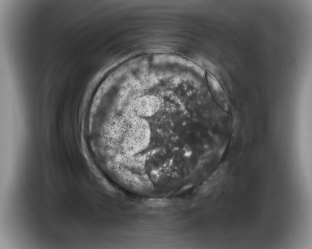 X0000083570145200703091645