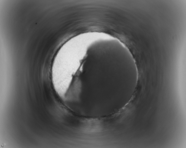 X0000083570146200703091645