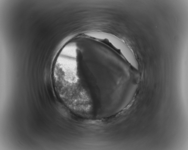 X0000083570147200703091645