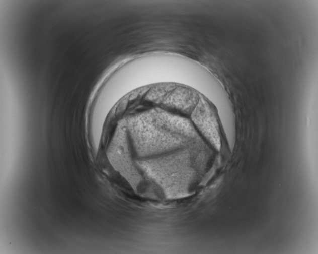 X0000083570148200703091645