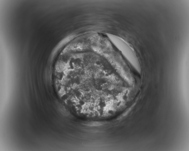 X0000083570149200703091645