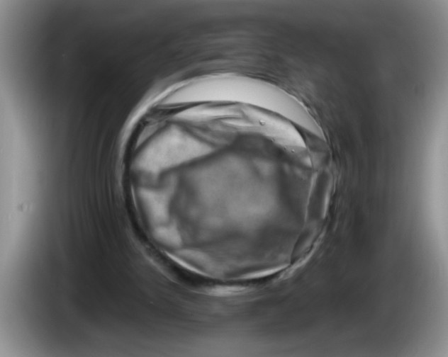 X0000083570150200703091645