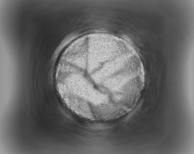 X0000083570151200703091645