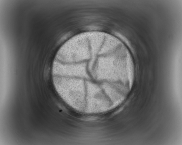 X0000083570153200703091645