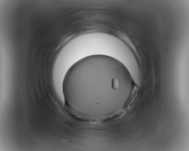 X0000083570154200703091645