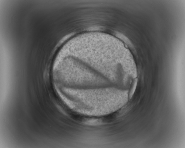 X0000083570155200703091645
