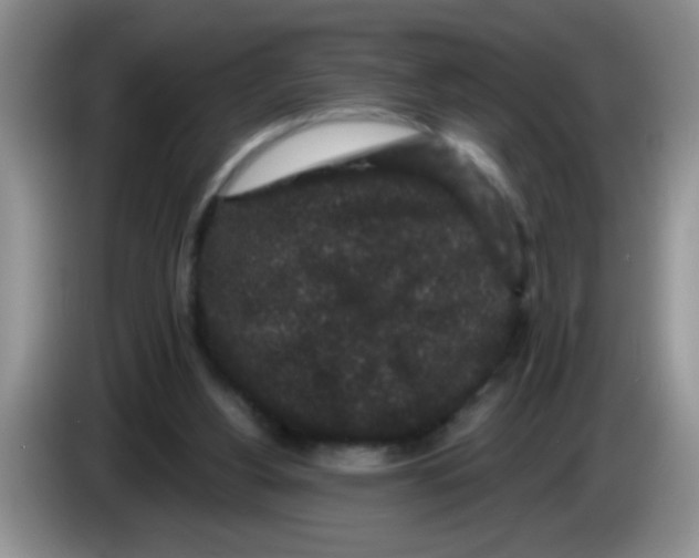 X0000083570156200703091645
