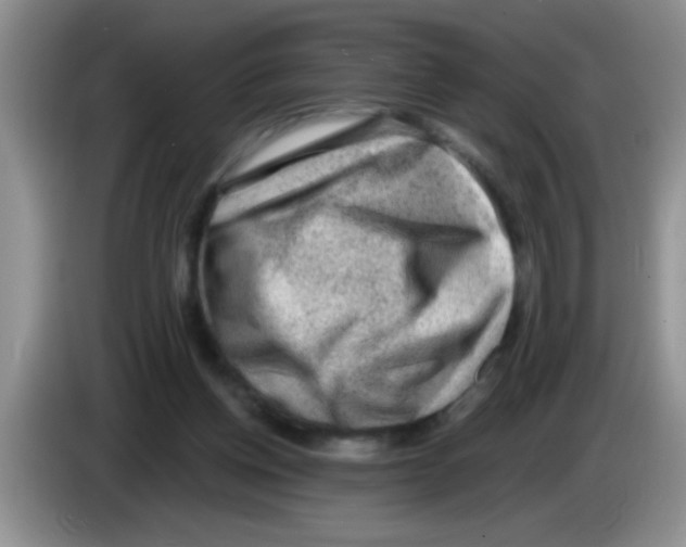 X0000083570158200703091645