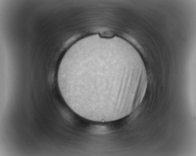 X0000083570159200703091645