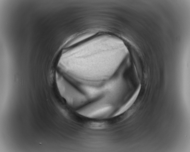 X0000083570160200703091645
