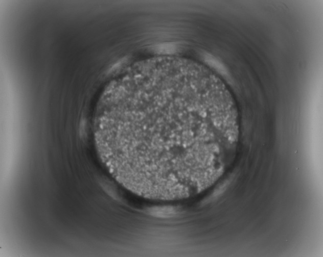 X0000083570161200703091645