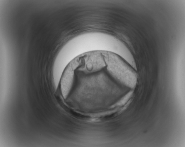 X0000083570162200703091645