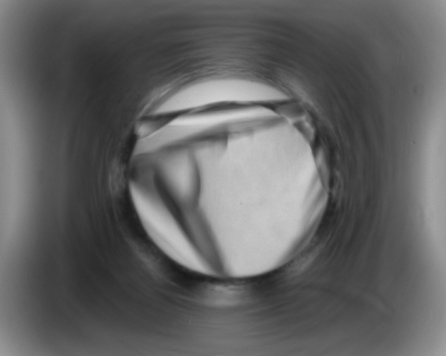 X0000083570164200703091645