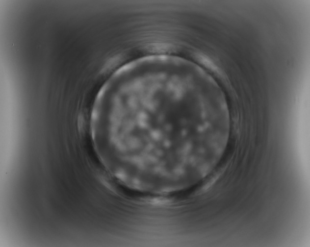 X0000083570165200703091645