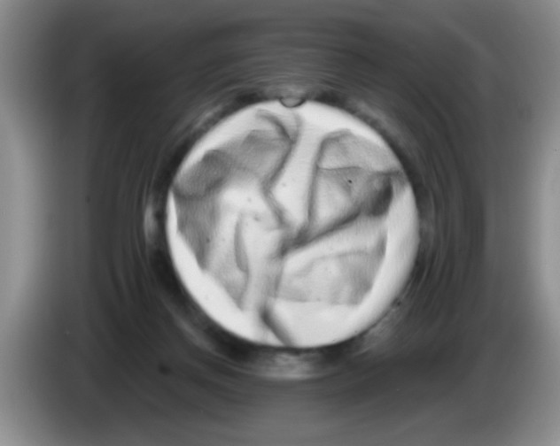 X0000083570166200703091645