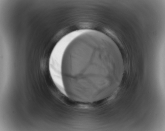 X0000083570167200703091645
