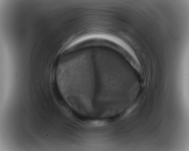 X0000083570168200703091645