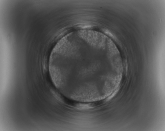 X0000083570170200703091645