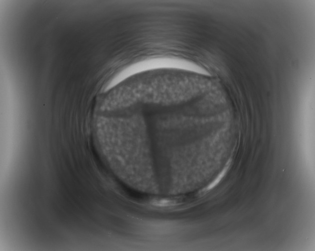 X0000083570174200703091645