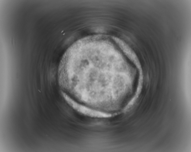 X0000083570175200703091645