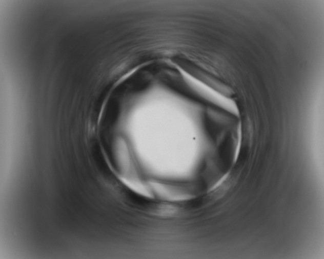 X0000083570176200703091645