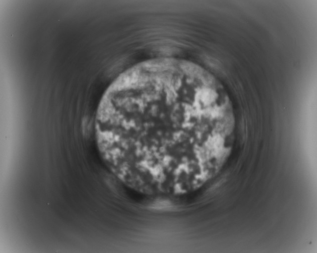 X0000083570177200703091645